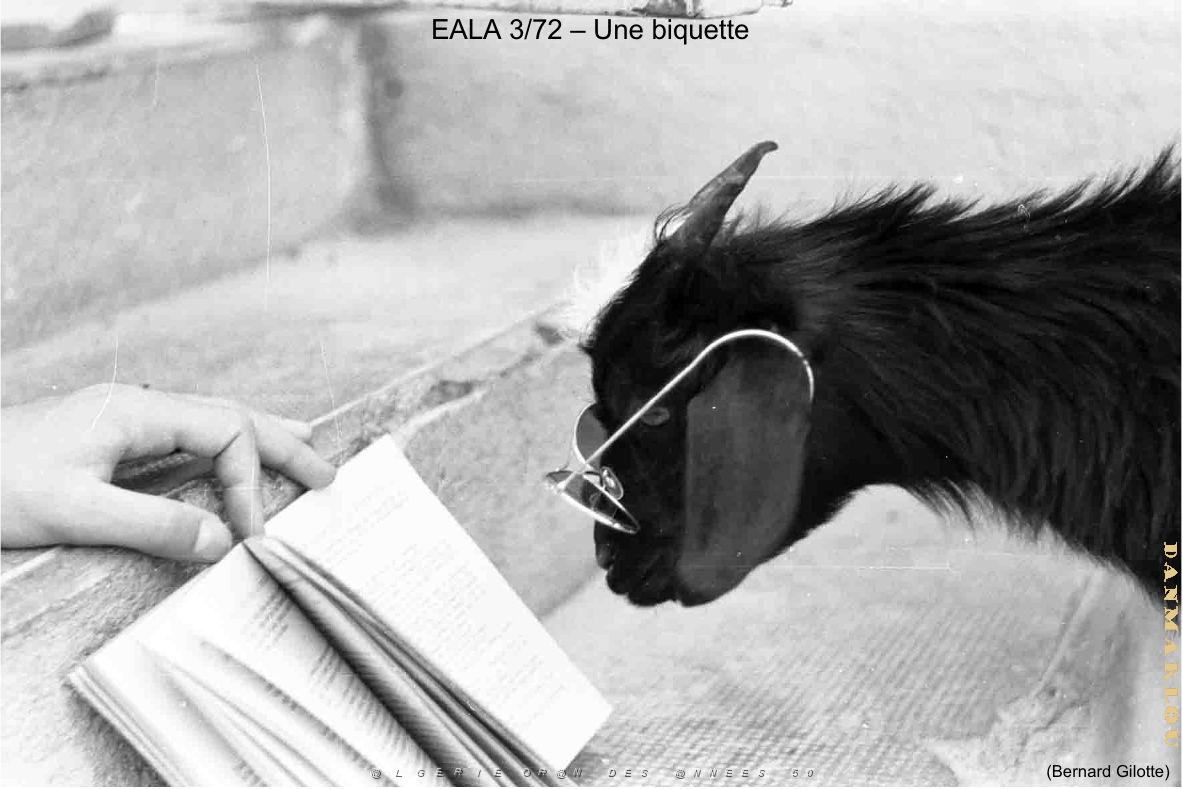 181- ARMEE DE L'AIR EN ALGERIE 1945-1962-29 (50).jpg